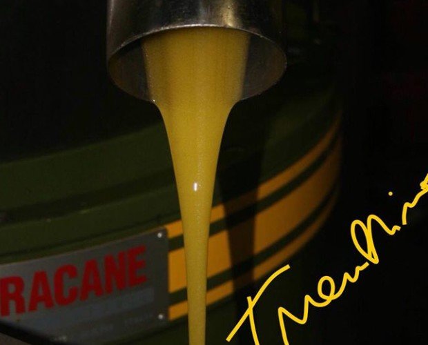 spremitura olive. Offriamo un olio biologico completamente tracciato e certificato dalla pianta alla bo