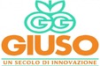 Giuso Guidi