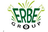 Erbe Group