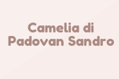 Camelia di Padovan Sandro