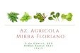 Azienda Agricola Floriano Mirra