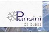 Pansini Ice Cubes