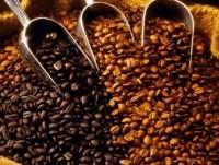 Caffè in Grani. Varietà di caffè  tra le migliori al mondo 