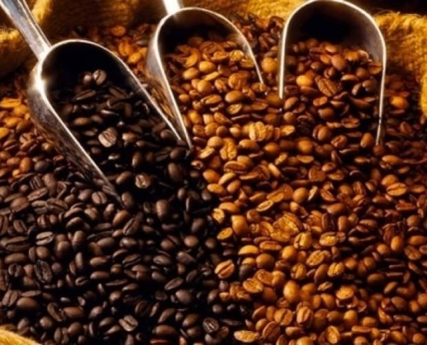 Caffè in grani . Varietà di caffè  tra le migliori al mondo