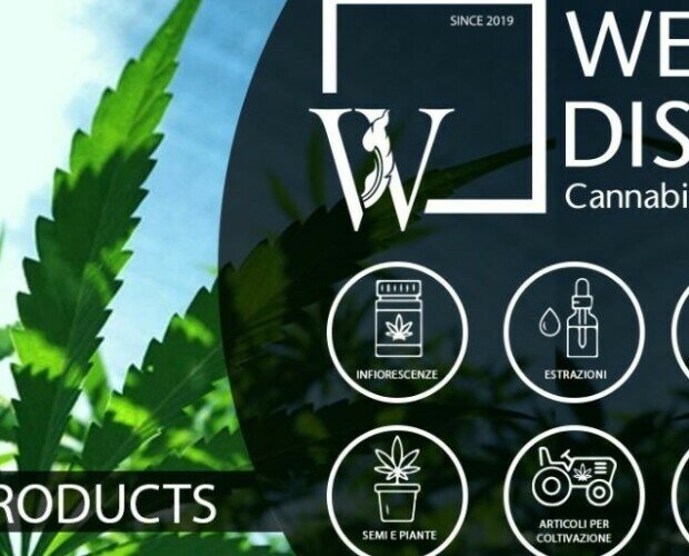 banner logo. weed distribution offre una gamma completa di prodotti per il mondo della canapa