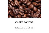 PFV Torrefazione - Caffè Ovidio