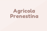 Agricola Prenestina