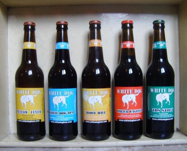 5 differenti tipologie di birra. Prodotti artigianali
