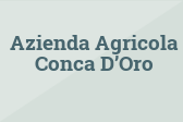 Azienda Agricola Conca D’Oro