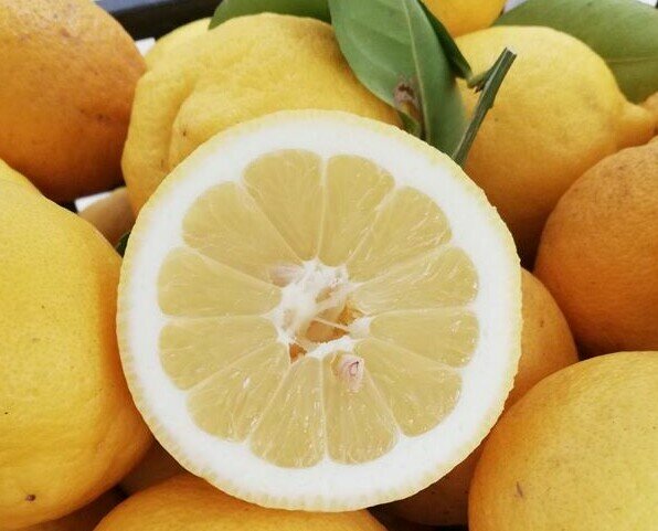Limone Primo fiore. Tutta la freschezza è la bontà dei limoni appena raccolti a km 0