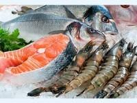 Piatti di Pesce. La migliore qualità di pesce fresco.