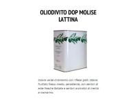 Olio di Oliva. Lattina DOP Molise
