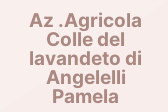 Az.Agricola Colle del lavandeto di Angelelli Pamela