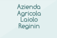 Azienda Agricola Laiolo Reginin