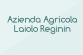 Azienda Agricola Laiolo Reginin