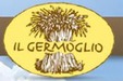 Germoglio food