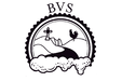 BVS (Birrificio Valdarno Superiore)