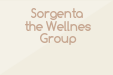 Sorgenta the Wellnes Group