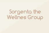 Sorgenta the Wellnes Group