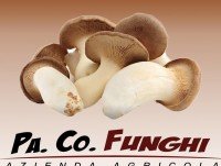 Funghi e Tartufi. Funghi e tartufi Funghi e tartufi