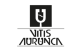Vitis Aurunca