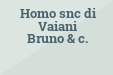 Homo snc di Vaiani Bruno  & c.