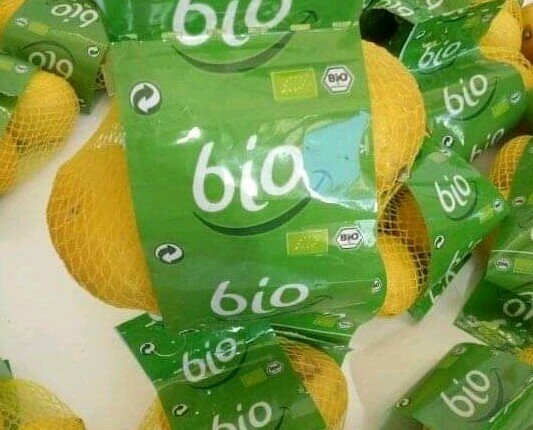 Limoni Bio. Girsack Limoni Biologici di nostra produzione
