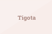 Tigota