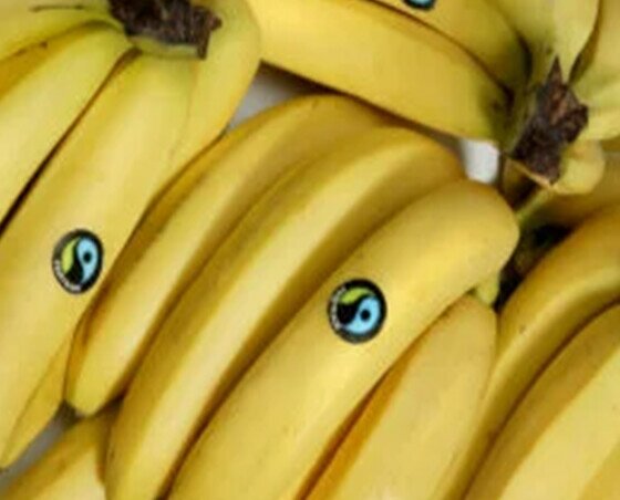 Banane Fairtrade. Banane Equo-solidali ORIGINE: Ecuador – Perù - Colombia VARIETA’: Cavendish