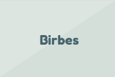 Birbes
