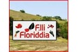 F.lli Floriddia