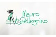 Mauro Pellegrino