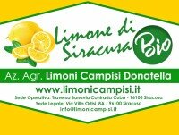 Frutta Biologica. limone di Siracusa Primofiore IGP  100% Biologico