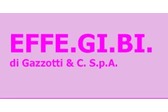 Effe. Gi. Bi. Di Gazzotti & C.