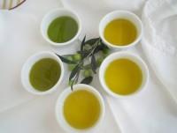 Olio di Oliva. Olio di oliva Sagnolo e Greco