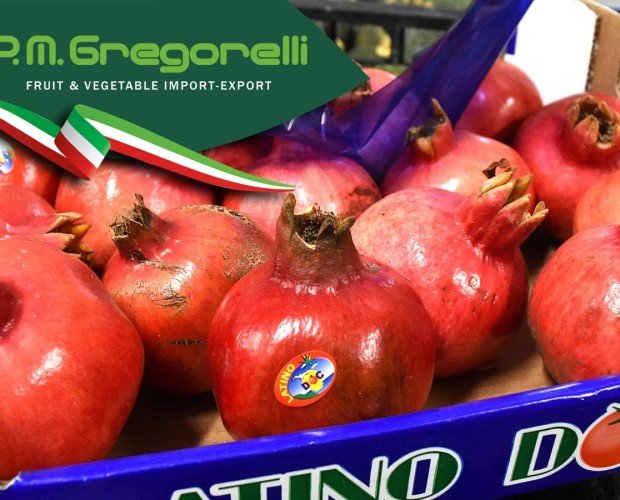 PM Gregorelli. Commercializzazione e distribuzione di prodotto ortofrutticolo e agroalimentare.