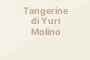 Tangerine di Yuri Molino