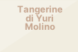 Tangerine di Yuri Molino
